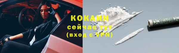 винт Белокуриха