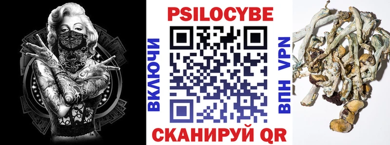 Псилоцибиновые грибы прущие грибы  Заозёрск 
